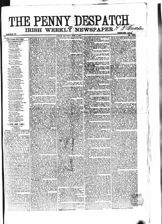cover page of Penny Despatch and Irish Weekly Newspaper published on June 2, 1866