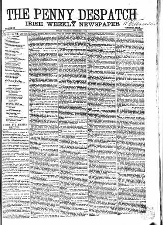 cover page of Penny Despatch and Irish Weekly Newspaper published on December 7, 1867