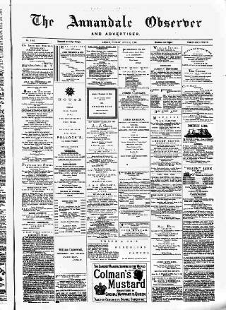 cover page of Annandale Observer and Advertiser published on June 2, 1882
