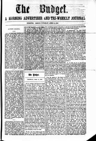 cover page of Budget (Jamaica) published on April 24, 1879