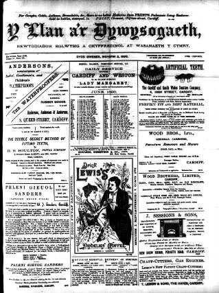 cover page of Y Llan published on June 2, 1893
